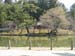 IMG_2553-Nara-Todaiji-vicinity-garden